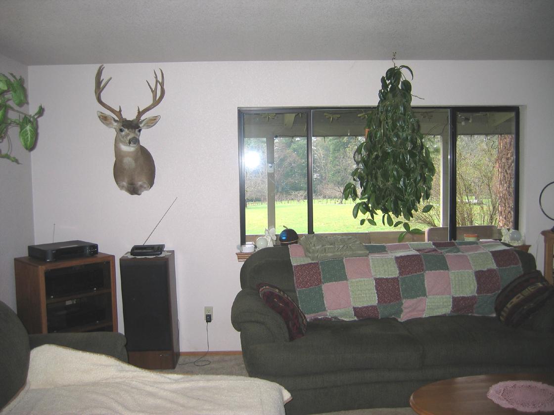 Living room main home